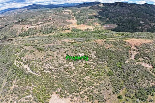 Address Not Shown Collbran, CO 81624