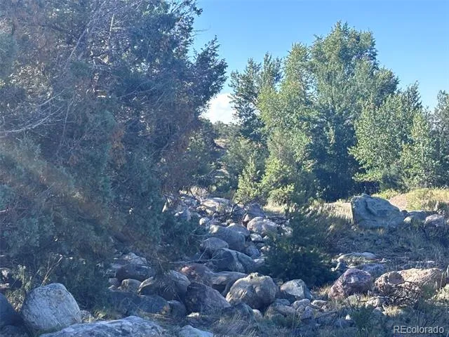 4333 Camino Baca Grande Crestone, CO 81131
