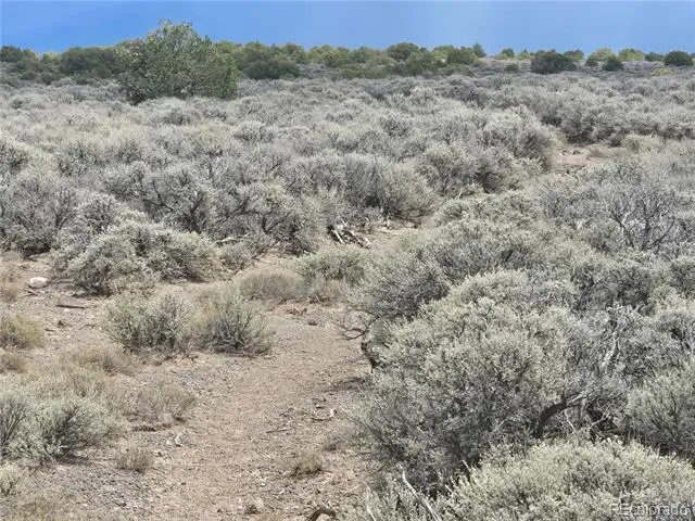 Lot 4 Ana Ave San Luis, CO 81152