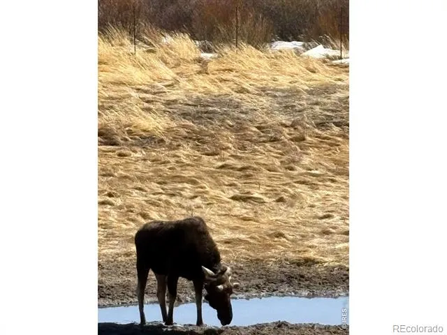 1565 Highway 66 ##49 Estes Park, CO 80517