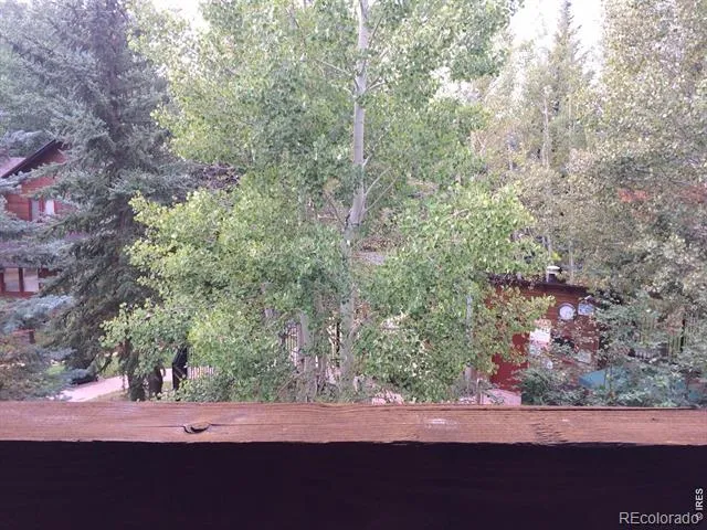 1565 Highway 66 ##49 Estes Park, CO 80517