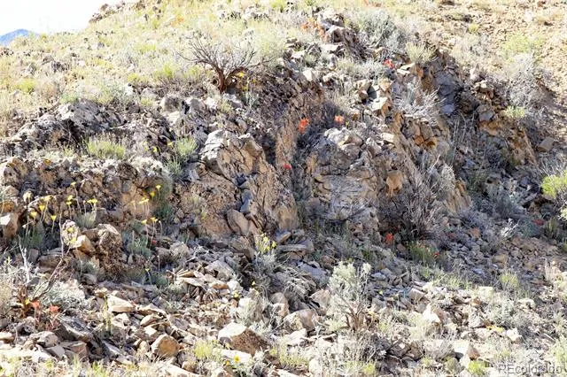 000 TBD Gateway, CO 81522