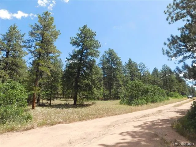 4977 Mohawk Drive Larkspur, CO 80118