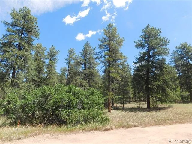 4977 Mohawk Drive Larkspur, CO 80118