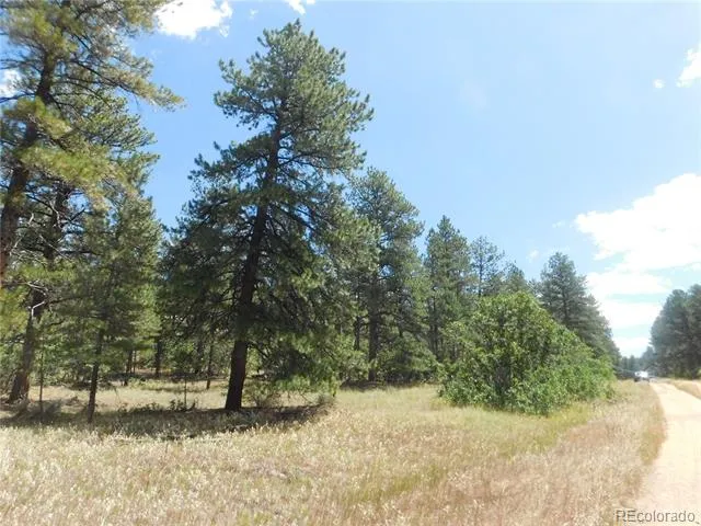 4977 Mohawk Drive Larkspur, CO 80118