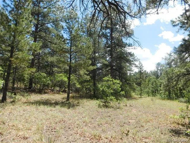 4977 Mohawk Drive Larkspur, CO 80118