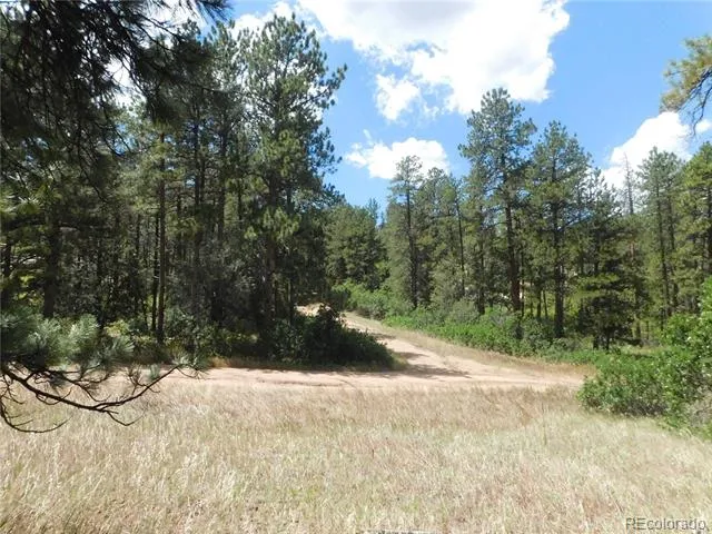 4977 Mohawk Drive Larkspur, CO 80118