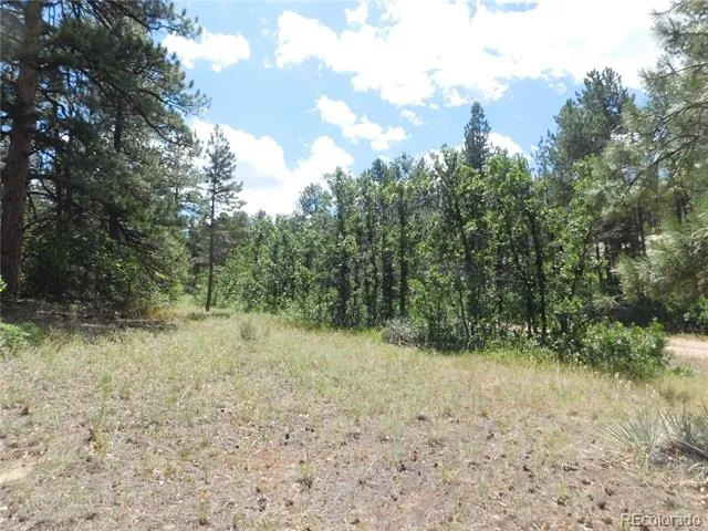 4977 Mohawk Drive Larkspur, CO 80118