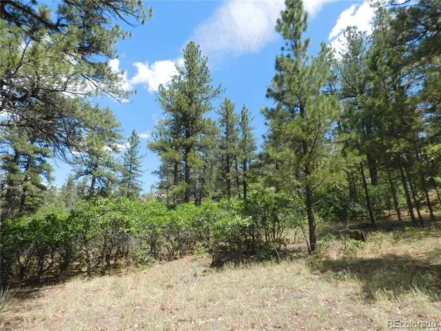 4977 Mohawk Drive Larkspur, CO 80118