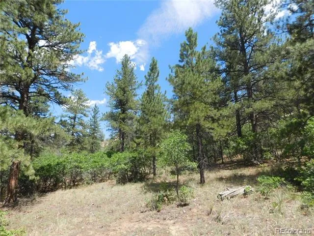 4977 Mohawk Drive Larkspur, CO 80118