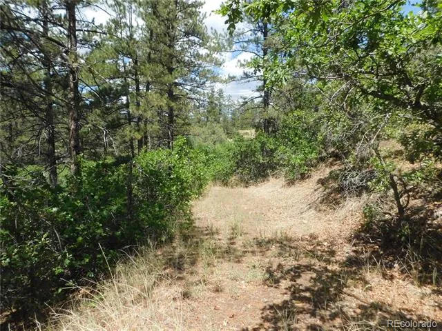 4977 Mohawk Drive Larkspur, CO 80118
