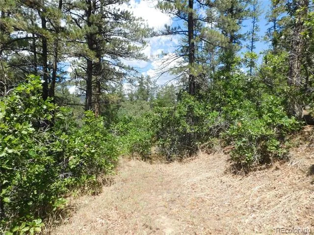 4977 Mohawk Drive Larkspur, CO 80118