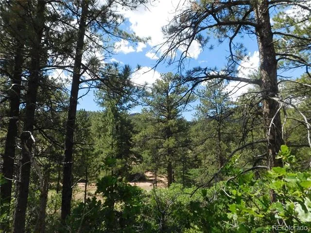 4977 Mohawk Drive Larkspur, CO 80118