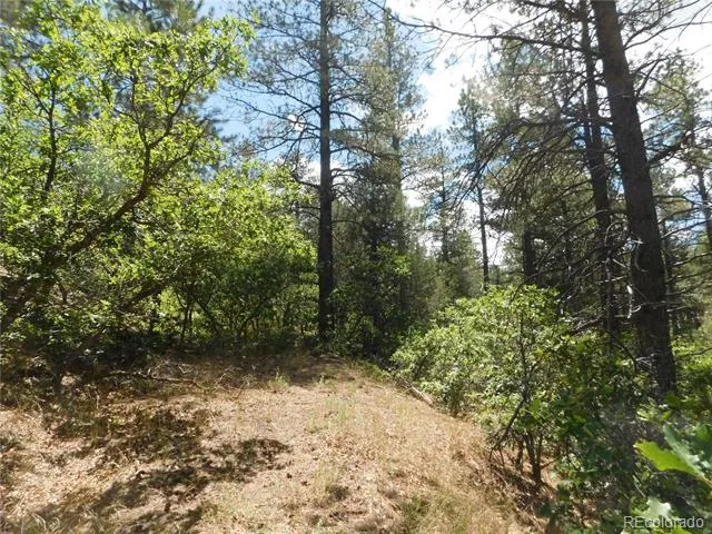 4977 Mohawk Drive Larkspur, CO 80118