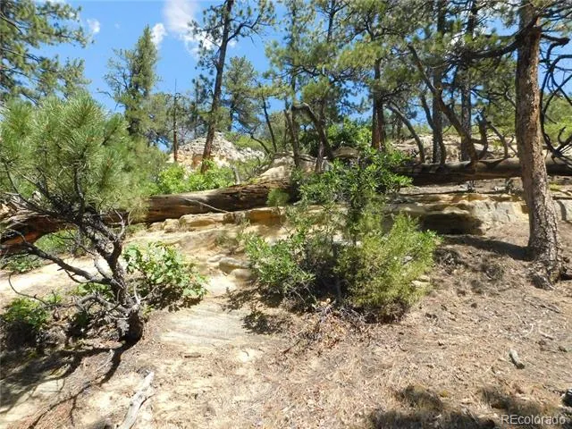 4977 Mohawk Drive Larkspur, CO 80118