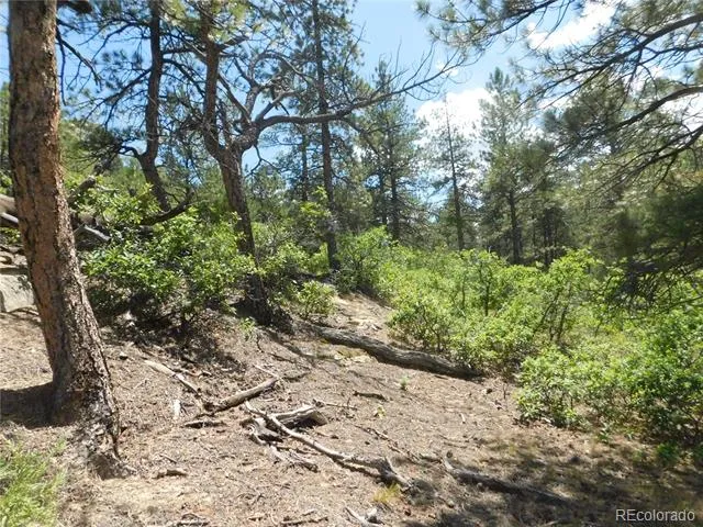 4977 Mohawk Drive Larkspur, CO 80118