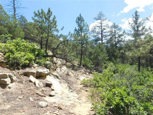 4977 Mohawk Drive Larkspur, CO 80118