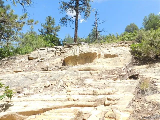 4977 Mohawk Drive Larkspur, CO 80118