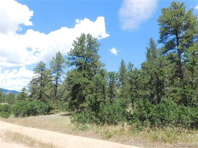 4977 Mohawk Drive Larkspur, CO 80118