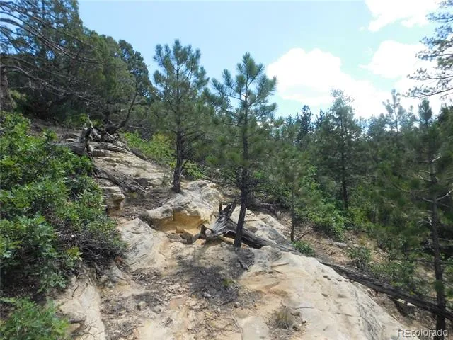 4977 Mohawk Drive Larkspur, CO 80118