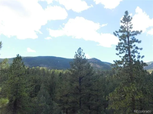 4977 Mohawk Drive Larkspur, CO 80118