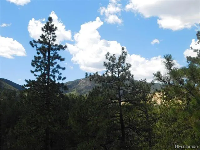 4977 Mohawk Drive Larkspur, CO 80118