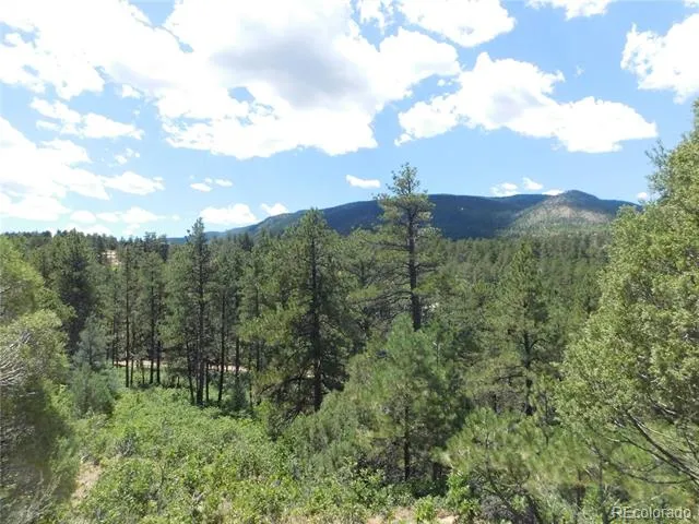 4977 Mohawk Drive Larkspur, CO 80118