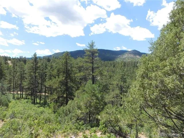 4977 Mohawk Drive Larkspur, CO 80118