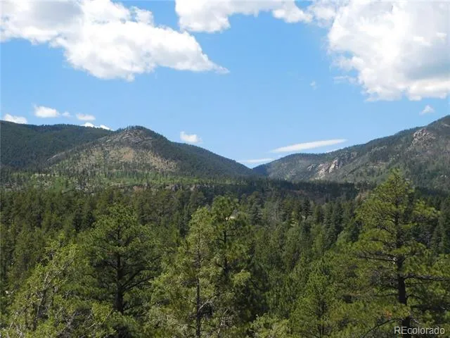 4977 Mohawk Drive Larkspur, CO 80118