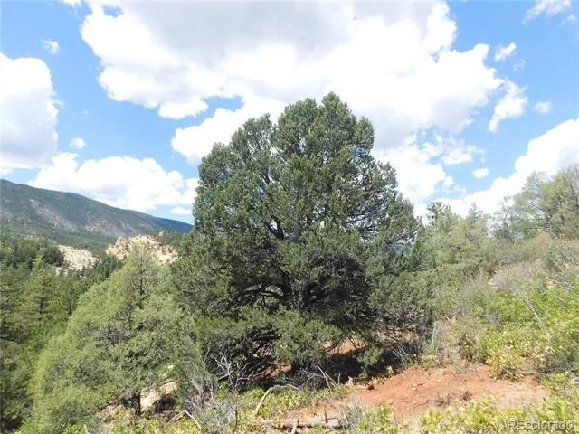4977 Mohawk Drive Larkspur, CO 80118