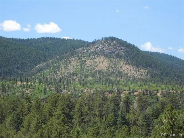 4977 Mohawk Drive Larkspur, CO 80118