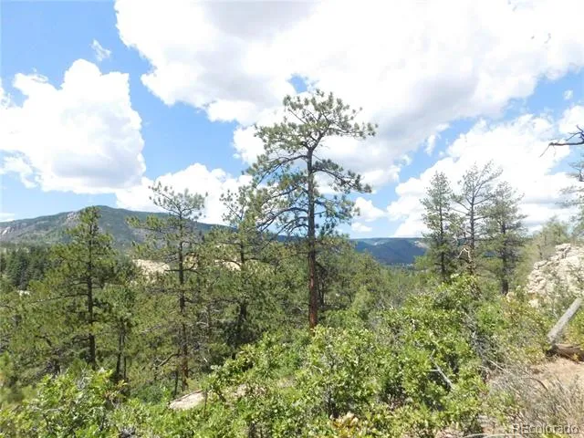 4977 Mohawk Drive Larkspur, CO 80118