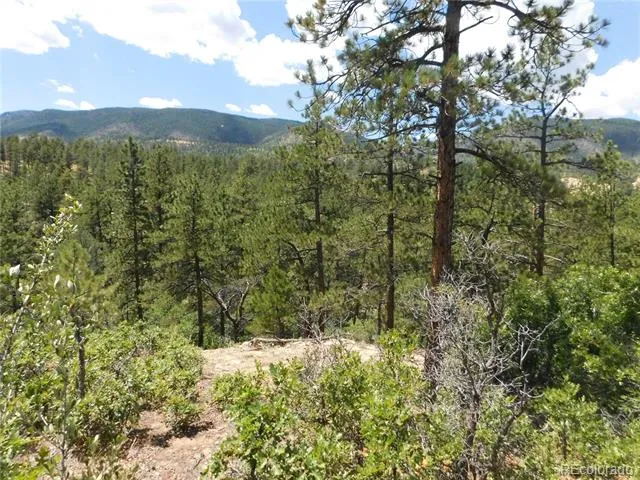 4977 Mohawk Drive Larkspur, CO 80118
