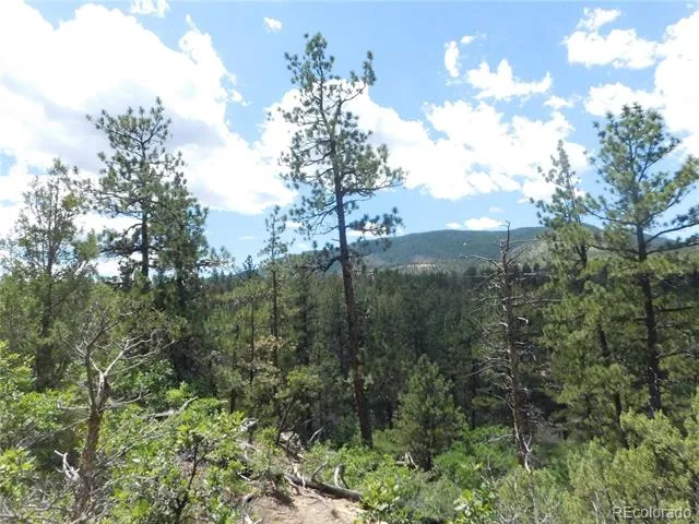 4977 Mohawk Drive Larkspur, CO 80118