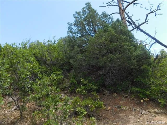 4977 Mohawk Drive Larkspur, CO 80118