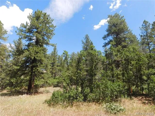 4977 Mohawk Drive Larkspur, CO 80118