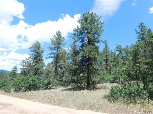 4977 Mohawk Drive Larkspur, CO 80118