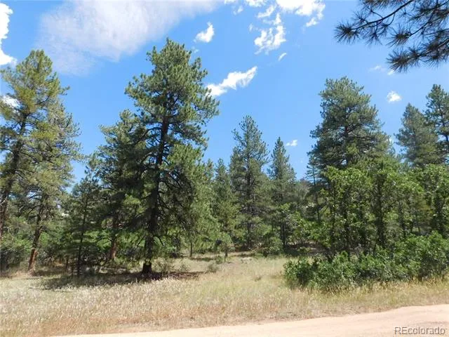 4977 Mohawk Drive Larkspur, CO 80118