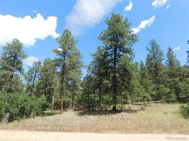 4977 Mohawk Drive Larkspur, CO 80118