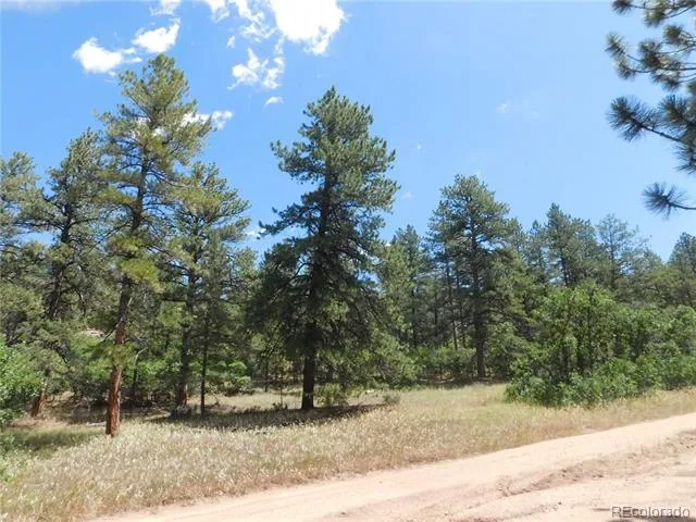 4977 Mohawk Drive Larkspur, CO 80118