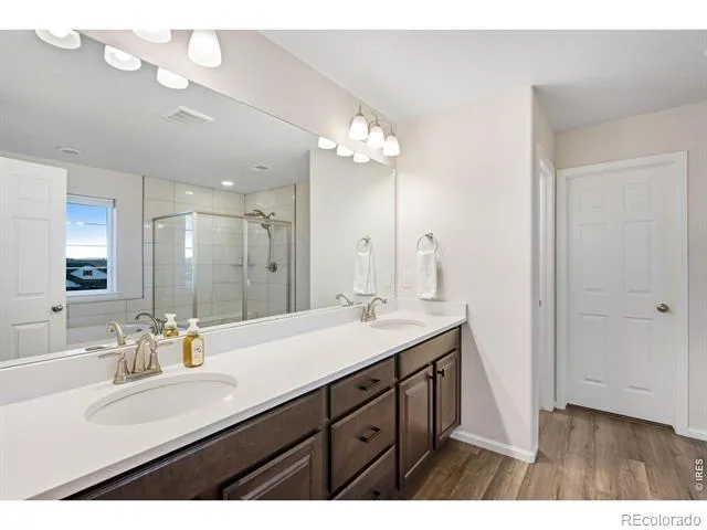 5604 Congressional Court Windsor, CO 80528