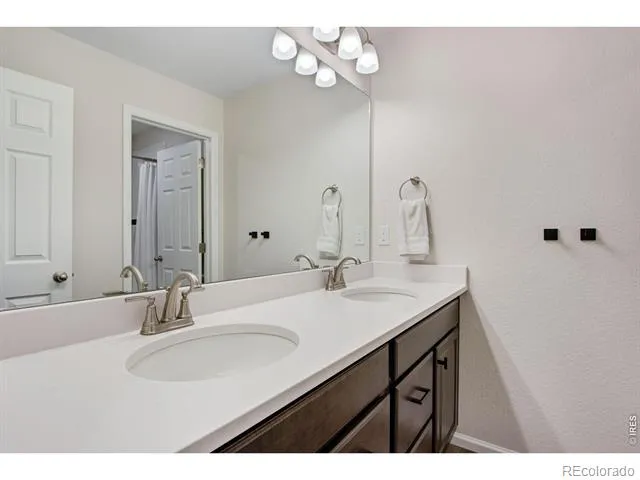 5604 Congressional Court Windsor, CO 80528