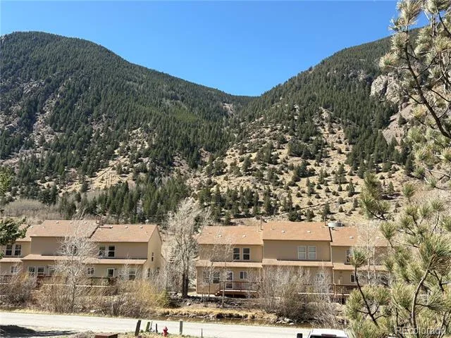 1772 Clear Creek Drive Georgetown, CO 80444
