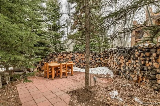 53 Burgundy Circle #A Silverthorne, CO 80498