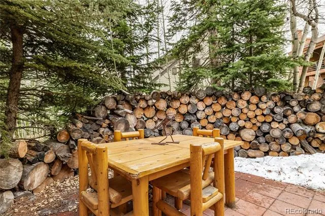53 Burgundy Circle #A Silverthorne, CO 80498