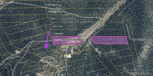 Lots 1 & 2 Harvest Moon Trail Dumont, CO 80436