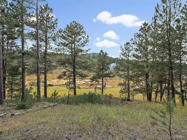 00 Cragmont Evergreen, CO 80439