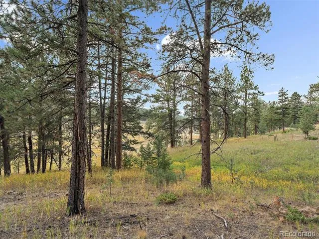 00 Cragmont Evergreen, CO 80439
