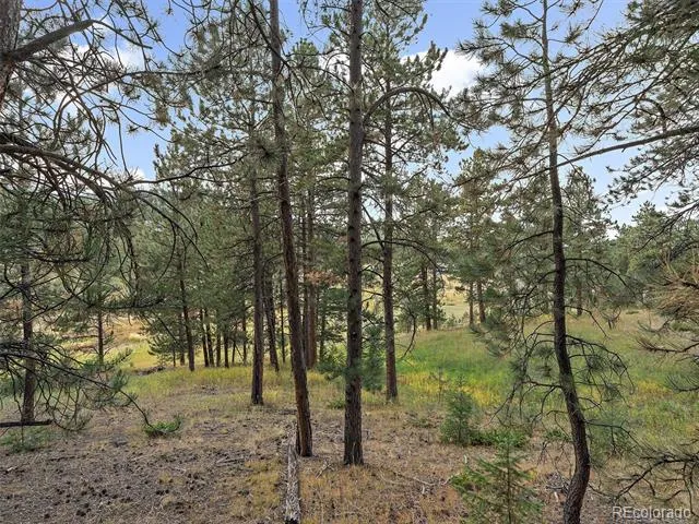 00 Cragmont Evergreen, CO 80439