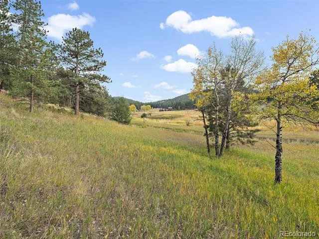 00 Cragmont Evergreen, CO 80439